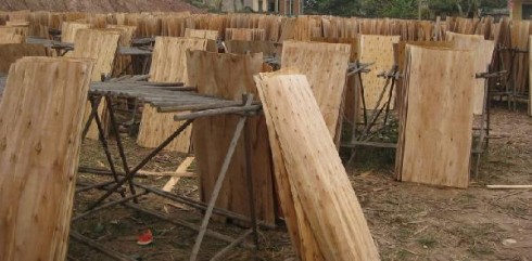 ACACIA CORE VENEER