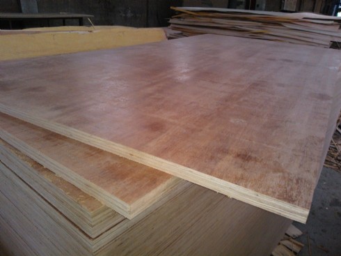 KERUING PLYWOOD